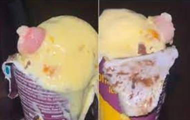 Finger Found in Ice Cream: ఐస్‌క్రీంలో మనిషి వేలు ఎలా వచ్చిందో కనిపెట్టిన పోలీసులు, ఫ్యాక్టరీలో కంపెనీ ఉద్యోగి వేలు తెగిపోవడతో అది నేరుగా..