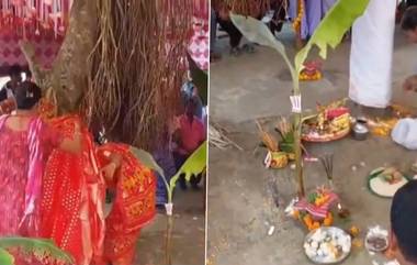 Trees Marriage: గ్లోబల్ వార్మింగ్ కట్టడికి మర్రిచెట్టుకు, రావి చెట్టుకు పెండ్లి.. బెంగాల్ లో ఘటన (వీడియో ఇదిగో)