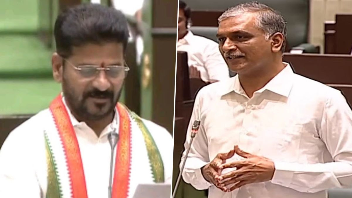 Harish Rao VS Revanth Reddy: వీడియో ఇదిగో, అన్ని మేమే చేస్తే నువ్వేం చేస్తావు రేవంత్ రెడ్డి, అసెంబ్లీలో విరుచుకుపడిన హరీష్ రావు