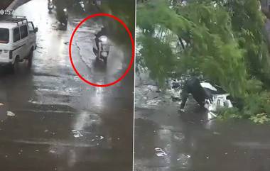 Pune Rains Horror Video: పూణేలో భారీ వర్షాలు, నడిరోడ్డు మీద వెళుతున్న స్కూల్ వ్యాన్‌పై పడిన భారీ చెట్టు, తృటిలో ప్రాణాలతో బయటపడిన విద్యార్థులు, వీడియో ఇదిగో..