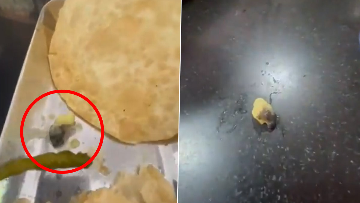 Worm Found in Poori Curry: వీడియో ఇదిగో, పూరీ కూరలో ప్రత్యక్షమైన పురుగు, ఒక్కసారిగా షాక్ అయిన కస్టమర్, హోటల్ యజమాని స్పందన ఏంటంటే..