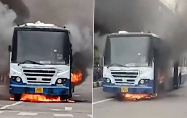 BMTC Bus Fire Video: వీడియో ఇదిగో, మంటల్లో చిక్కుకున్న బీఎంటీసీ బస్సు, తృటిలో తప్పించుకున్న 30 మంది ప్రయాణికులు