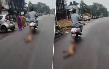 Dog Tied to Scooter: బైక్ కు కుక్కను కట్టేసి, ఈడ్చుకెళ్ళిన కర్కోటకుడు.. ఉడుపి జిల్లాలో దారుణం.. పోలీసులకు ఫిర్యాదు (వీడియోతో)