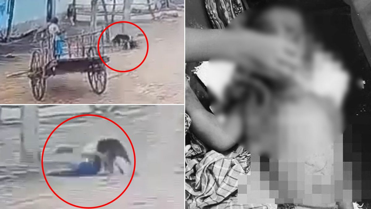 Dog Attack in Telangana: వీడియో ఇదిగో, తెలంగాణలో పిల్లలపై వీధికుక్కలు దాడి, ఒక బాలుడు మృతి.. మరో బాలుడికి తీవ్రగాయాలు