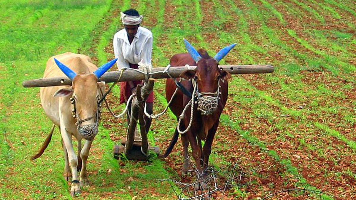 PM KISAN Yojna: రైతన్నలకు గుడ్ న్యూస్.. నేడే అకౌంట్లలోకి పీఎం-కిసాన్‌ పథకం డబ్బులు