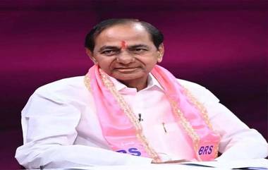 KCR New Strategy: సీఎం రేవంత్ రెడ్డికి చెక్ పెట్టేలా కేసీఆర్ మాస్టర్ ప్లాన్? త్వరలో ఎన్నికలు రావడం ఖాయం? మళ్లీ అధికారం మనదేనని సంకేతాలు?