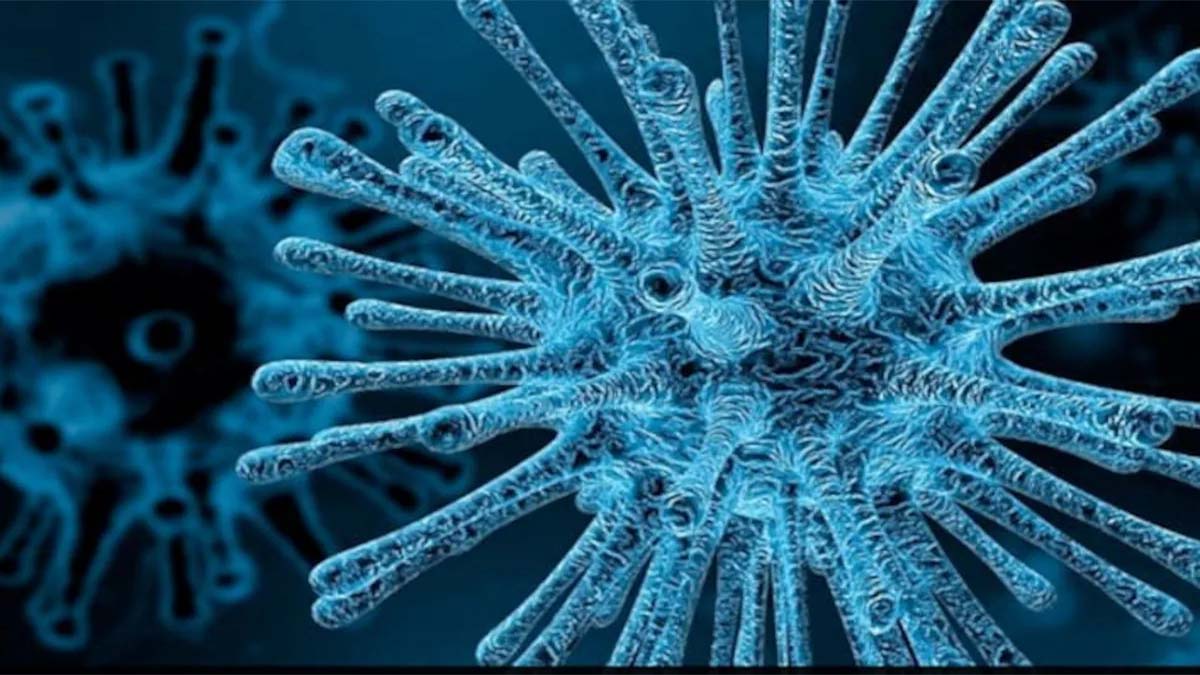 HMPV Outbreak In China: ప్రపంచం మీద దాడికి చైనా నుంచి మరో వైరస్, హ్యూమన్‌ మెటాఫ్యూమో వైరస్‌ లక్షణాలు, చికిత్స మార్గాలు, హెచ్‌ఎంపీవీ అంటే ఏమిటో తెలుసుకోండి
