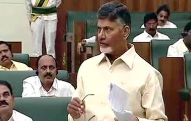 Andhra Pradesh Assembly Session: దేశంలోనే అతి పెద్ద మద్యం కుంభకోణం ఏపీలో జరిగింది, అసెంబ్లీ వేదికగా చంద్రబాబు సంచలన వ్యాఖ్యలు, సీఐడీతో సమగ్ర దర్యాప్తు జరిపిస్తామని వెల్లడి