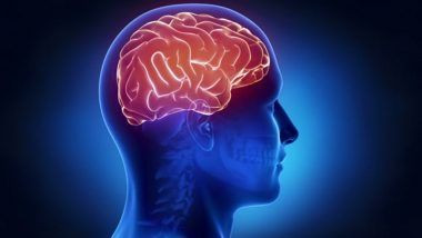 Brain Stroke By Dengue: డెంగ్యూతో బ్రెయిన్‌ స్ట్రోక్‌ వచ్చే ముప్పు.. రక్త సరఫరా సరిగ్గా జరగకపోవడమే కారణం