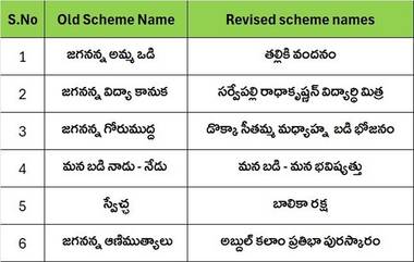 Nara Lokesh : ఏపీ ప్రభుత్వ పథకాల పేరు మార్పు, తల్లికి వందనం, డొక్కా సీతమ్మ మధ్యాహ్న భోజన పథకాలుగా మార్పు, మరిన్ని పథకాలకు కూడా