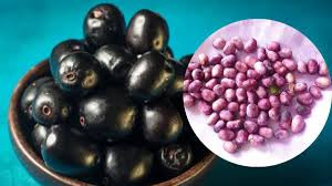 Health Tips: నేరేడు గింజలు ప్రయోజనాలు తెలిస్తే షాక్ తింటారు...ఈ పొడితో మీ షుగర్ కంట్రోల్ లో ఉంటుంది.......