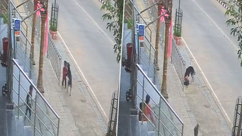 Dog Attack in Karimnagar: షాకింగ్ వీడియో, ఆడుకుంటున్న 18 నెలల బాలుడుపై వీధి కుక్క దాడి, తృటిలో తప్పించుకున్న మరో బాలుడు