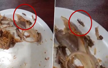 Cockroach Found in Biryani: బిర్యానీలో బొద్దింక దర్శనం.. హైదరాబాద్ పంజాగుట్టలోని మెరిడియన్ రెస్టారెంట్‌ లో ఘటన (వీడియో)