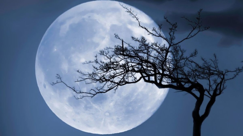 Super Blue Moon: నేడు రాఖీ పౌర్ణమి.. మీ సోదరుడే కాదు నేడు ఆకాశంలో అతిపెద్దగా, ఎంతో ప్రకాశవంతంగా ఆ చందమామ కూడా మెరిసిపోతూ కనువిందు చేయనున్నాడు.. కారణం నేడు సూపర్ బ్లూ మూన్.. ఏమిటా సంగతి?