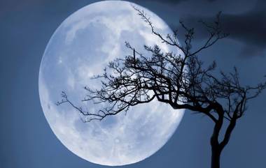 Super Blue Moon: నేడు రాఖీ పౌర్ణమి.. మీ సోదరుడే కాదు నేడు ఆకాశంలో అతిపెద్దగా, ఎంతో ప్రకాశవంతంగా ఆ చందమామ కూడా మెరిసిపోతూ కనువిందు చేయనున్నాడు.. కారణం నేడు సూపర్ బ్లూ మూన్.. ఏమిటా సంగతి?