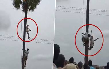 Viral Video: విషాదం వెంట మరో ప్రమాదం.. తాటి చెట్టుకు ఉరి వేసుకొని గీత కార్మికుడి ఆత్మహత్య.. మృతదేహాన్ని దించుతుండగా పట్టుతప్పి కిందనున్న వ్యక్తిపై పడ్డ డెడ్ బాడీ.. తర్వాత ఏమైంది..? (వీడియో)