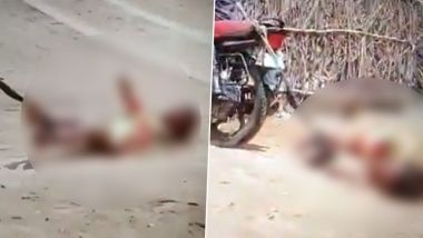 Rajasthan Horror: షాకింగ్ వీడియో ఇదిగో, భార్యను బైక్‌కు కట్టేసి ఈడ్చుకెళ్లిన తాగుబోతు భర్త, సోదరి ఇంటికి వెళ్తానని ఆమె చెప్పడమే కారణం