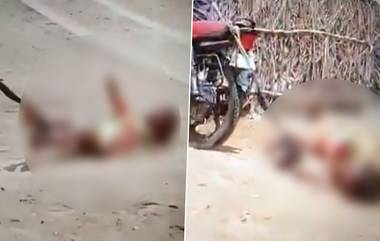 Rajasthan Horror: షాకింగ్ వీడియో ఇదిగో, భార్యను బైక్‌కు కట్టేసి ఈడ్చుకెళ్లిన తాగుబోతు భర్త, సోదరి ఇంటికి వెళ్తానని ఆమె చెప్పడమే కారణం