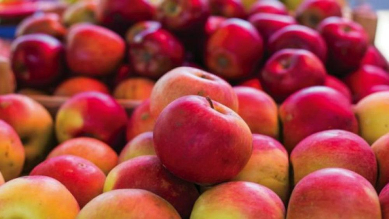 Health Tips: ఆపిల్ పండు ఇది మన శరీరానికి అమృతం.. దీనివల్ల కలిగే ఆరోగ్య ప్రయోజనాలు తెలుసుకుందాం.