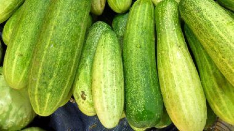 Health Tips: కీర దోసకాయ తినడం వల్ల కలిగే ఆరోగ్య ప్రయోజనాలు తెలుసా.