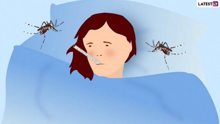 Dengue Fever: బెంగళూరును వణికిస్తున్న డెంగ్యూ.. నగరంలో వెలుగుచూసిన 10 వేలకు పైగా కేసులు