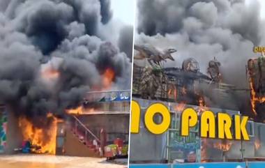 Fire Accident At Vishakapatnam Beach: విశాఖ బీచ్‌లో అగ్నిప్రమాదం, డైనో పార్కులో చెలరేగిన మంటలు, లక్షల రూపాయల ఆస్తి నష్టం