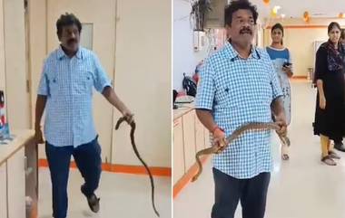 Man Catches Snake Video: వీడియో ఇదిగో, బ్యాంక్‌లో దూరి కస్టమర్లను, బ్యాంక్ సిబ్బందిని హడలెత్తించిన పాము