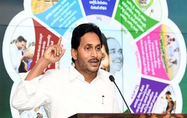 YS Jagan Gives Shock To Duvvada Srinivas: వైసీపీలో పెను మార్పులు,దువ్వాడకు షాకిచ్చిన జగన్,  టెక్కలి ఇంఛార్జీగా పేరాడ తిలక్, కొత్త అనుబంధ సంఘాల అధ్యక్షులు వీరే