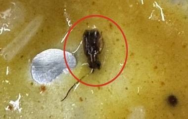 Cockroach Found in Meal on Train: వందే భారత్ ఎక్స్‌ప్రెస్‌లో అందించే భోజనంలో బొద్దింక, పప్పులో కీటకం డ్యాన్స్ వేస్తుందంటూ నెటిజన్లు సెటైర్లు, వీడియో ఇదిగో..