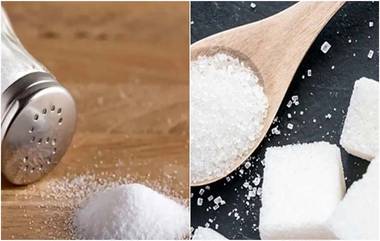 Salt And Sugar Contain Microplastics:షాకింగ్..మీరు వాడుతున్న ఉప్పు, చక్కెరలో మైక్రో ప్లాస్టిక్, సంచలన నివేదిక, ఒక్కసారి ఆలోచించండి?