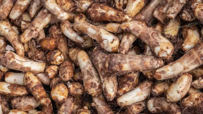Health Tips: చామ దుంపలు ఏ జబ్బులు ఉన్నవారు తినకూడదు. దీనివల్ల కలిగే నష్టాలు ఏంటో తెలుసుకుందాం.
