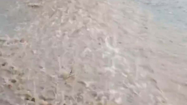 Kagaznagar Rains: కాగజ్‌నగర్‌లో దంచి కొట్టిన వర్షం, రోడ్లపైకి చేరిన నీరు, స్తంభించిపోయిన జనజీవనం