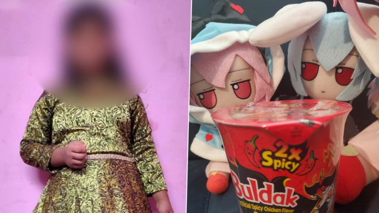 Girl Dies After Eating Noodles: నూడుల్స్‌ గొంతులో ఇరుక్కుని ఊపిరాడక బాలిక మృతి, తమిళనాడులో విషాదకర ఘటన