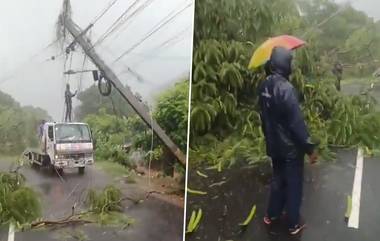 Andhra Pradesh Rains: వీడియోలు ఇవిగో, నీట మునిగిన విజయవాడ, భారీ వర్షాలకు మంగళగిరిలో విరిగిపడిన చెట్లు , నేలకొరిగిన కరెంట్ స్తంభాలు