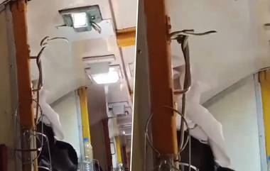 Snake Inside Garib Rath Express: ఏసీ ట్రైన్ కోచ్ లో పాము.. గరీబ్‌ రథ్‌ రైలులో ఘటన.. ప్రయాణికుల కేకలు (వీడియో)