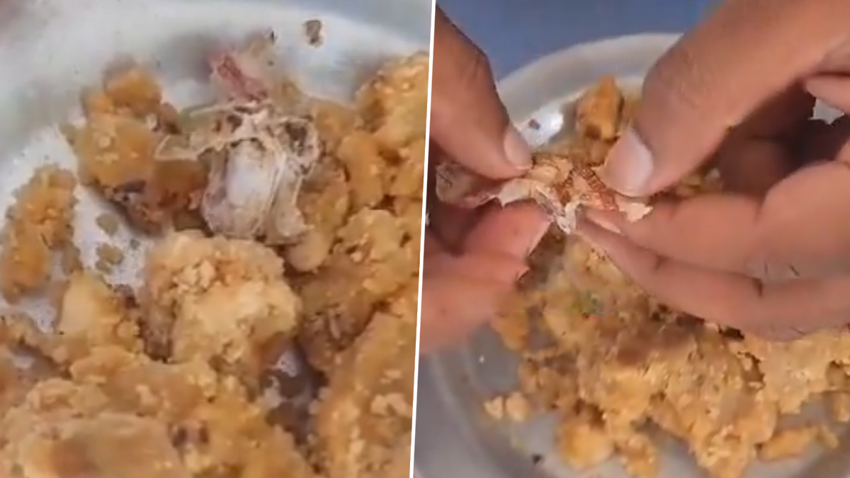 Tobacco Packet in Tirumala Laddu Prasadam: వెంకటేశా.. క్షమించు..! తిరుమలలో మరో అపచారం.. శ్రీవారి లడ్డూ మహాప్రసాదంలో పొగాకు పొట్లం.. వీడియో వైరల్