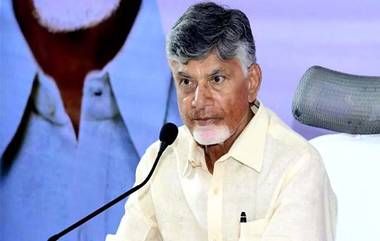 Andhra Pradesh: రేషన్ కార్డులపై జగన్ ఫోటోలను, వైసీపీ రంగులను తొలగిస్తున్న ఏపీ ప్రభుత్వం, వాటి స్థానంలో పసుపు రంగులో కొత్త కార్డులు ఇచ్చే దిశగా అడుగులు..