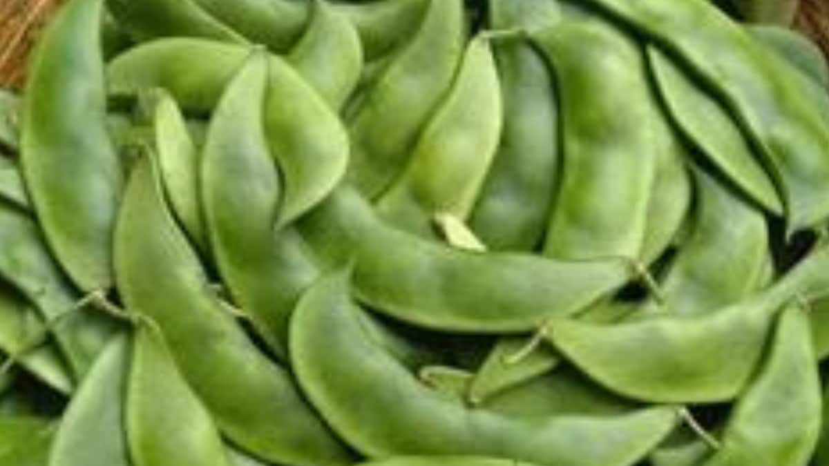 Health Tips: షుగర్ సమస్య ఉన్నవారు బీన్స్ తీసుకోవడం ద్వారా మీకు వీరికి అనేక ఆరోగ్య ప్రయోజనాలు కలుగుతాయి.క్యాన్సర్లను గుండె జబ్బులను దీర్ఘకాలిక వ్యాధులను తగ్గిస్తాయి.