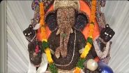 Variety Ganesh Idols: వెరైటీ గణనాథులు, ఆకట్టుకుంటున్న వినాయక మండపాలు..వీడియో ఇదిగో