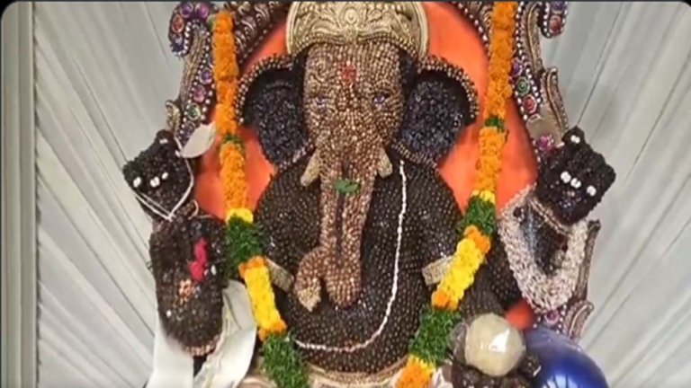 Variety Ganesh Idols: వెరైటీ గణనాథులు, ఆకట్టుకుంటున్న వినాయక మండపాలు..వీడియో ఇదిగో