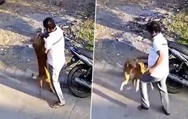 Dog Attack Video: షాకింగ్ వీడియో ఇదిగో, తలపై నిమరడం ఆపాడని దాడి చేసిన వీధి కుక్క, బిత్తరపోయి దాన్నుండి తప్పించుకున్న పాదాచారి