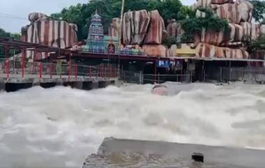 Telangana Rains: వీడియో ఇదిగో, భారీ వరదలకు నీట మునిగిన ఏడుపాయల వనదుర్గాదేవి ఆలయం, భారీగా పెరుగుతున్న వరద ఉధృతి