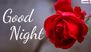 Cute Good Night Messages: గుడ్ నైట్ స్వీట్ మెసేజెస్ ఇవిగో,  రొమాంటిక్ గుడ్‌నైట్ కోట్స్, అందమైన GIFలు మీ అనుకున్నవారికి పంపండి