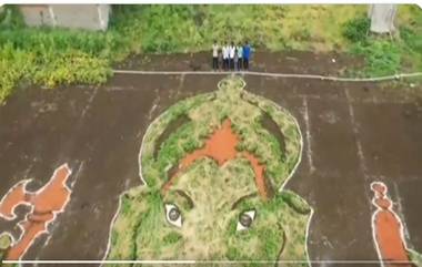 Lord Ganesh Image At Farm Land: పొలంలో వినాయకుడి చిత్రం, అద్భుతమంటూ నెటిజన్ల ప్రశంసలు..వీడియో ఇదిగో