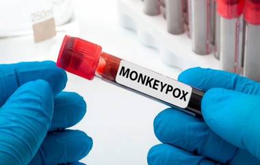 Monkeypox in India: భారత్‌లో తొలి మంకీపాక్స్ కేసు నమోదు, జులై 2022 నుంచి దేశంలో 30 మంకీపాక్స్ కేసులు నమోదయ్యాయని తెలిపిన కేంద్రం