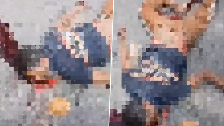 Lucknow Hit and Run: షాకింగ్ వీడియో ఇదిగో, రోడ్డు మీద వెళుతున్న పాదాచారిని ఢీకొట్టిన వ్యాన్, అక్కడికక్కడే మృతి, వ్యాన్ డ్రైవర్ పరార్