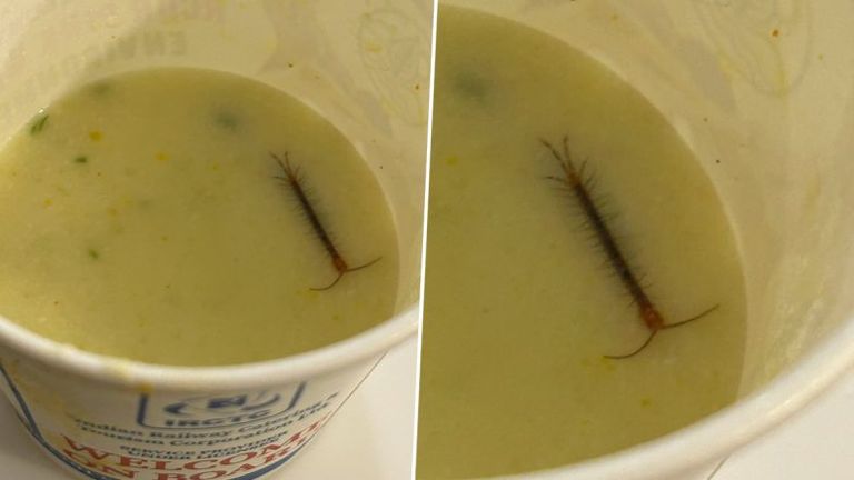 Centipede Found in Raita: భారతీయ రైల్వే అందించే భోజనంలో జెర్రీ, ఇదేమి సర్వీసు అంటూ మండిపడిన ప్రయాణికుడు