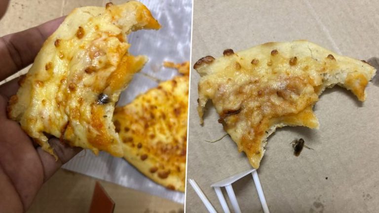 Insect Found in Pizza: పిజ్జా తింటుండగా దర్శనమిచ్చిన చనిపోయిన పురుగు, బిత్తరపోయిన కస్టమర్, డబ్బులు వాపస్ ఇవ్వాలని డిమాండ్, సారీ చెప్పిన జొమోటో