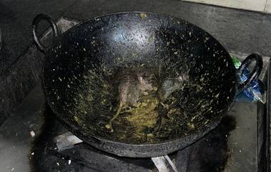 Rats Found in IIT Roorkee Kitchen: ఐఐటీ హాస్టల్ మెస్‌లో జలకాలడుతున్న ఎలుకలు, బిత్తరపోయి ఆహారం బయట తిన్న విద్యార్థులు, వీడియోలు ఇవిగో..