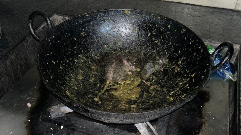 Rats Found in IIT Roorkee Kitchen: ఐఐటీ హాస్టల్ మెస్‌లో జలకాలడుతున్న ఎలుకలు, బిత్తరపోయి ఆహారం బయట తిన్న విద్యార్థులు, వీడియోలు ఇవిగో..